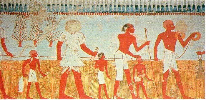 Agricultores del Antiguo Egipto