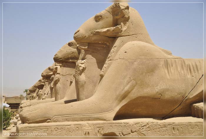 Criosfinges en Karnak