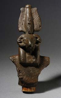 © Ashley Van Haeften - Jnum