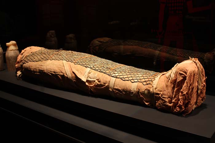 Exhibición de Momia en un museo