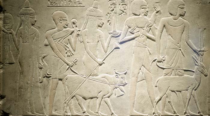 Relieve en la tumba de Merymery