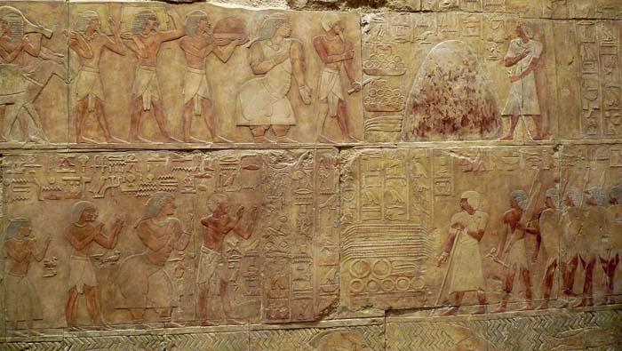 Relieves que muestran la expedición de Hatshepsut a Punt