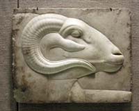© Peter Roan - Relieve de una cabeza de carnero