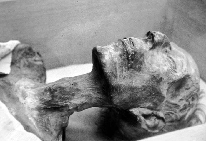 Momia de Ramsés II